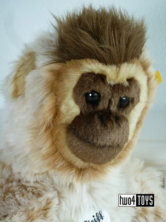 https://www.two4toys.com/images/details/061585c.jpg