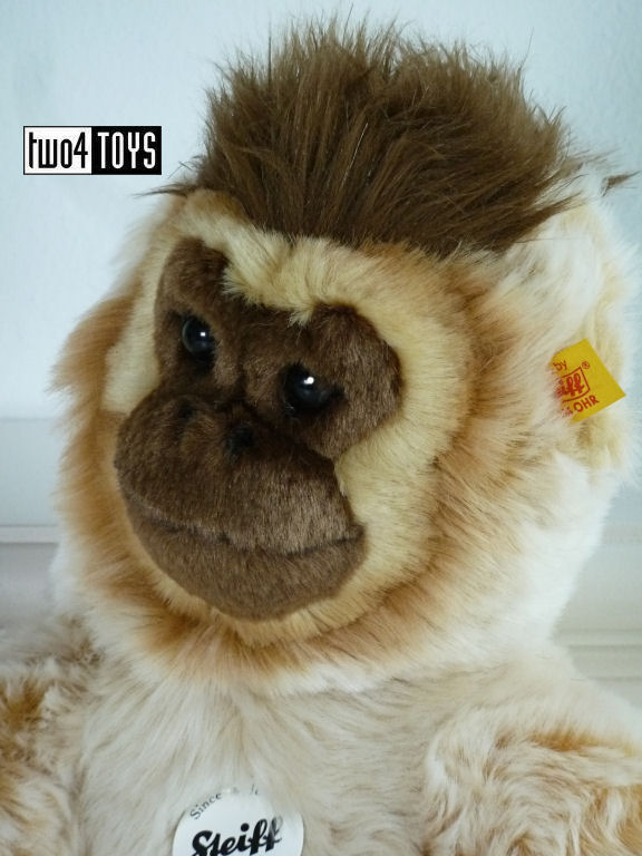 https://www.two4toys.com/images/details/061585d.jpg