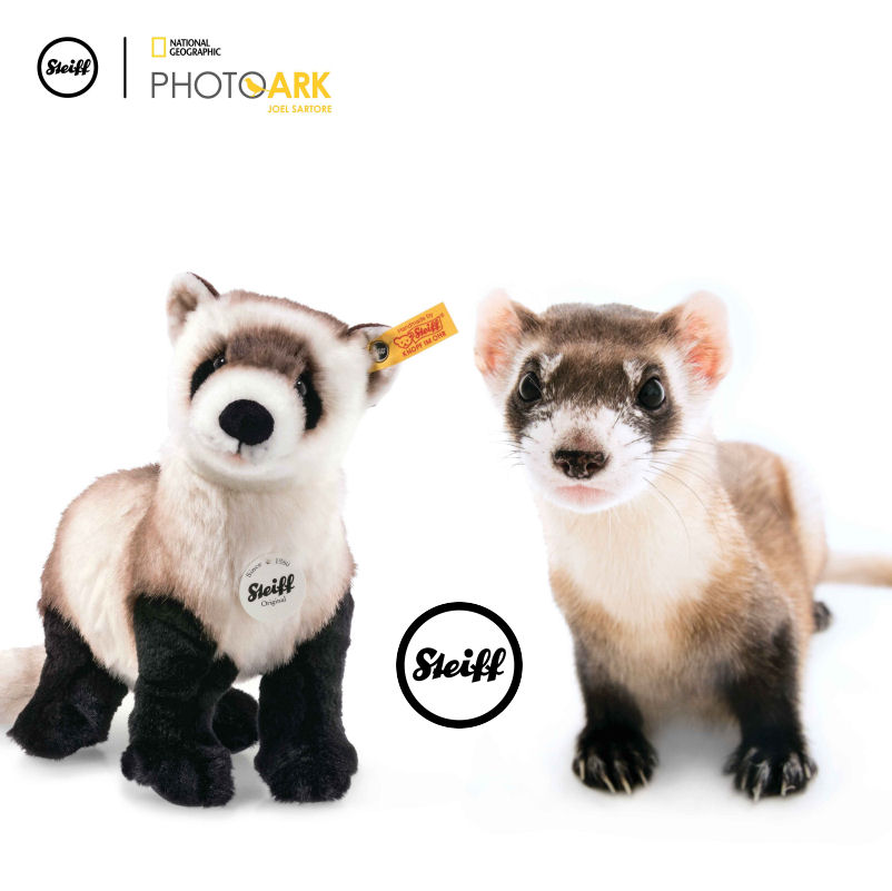 https://www.two4toys.com/images/details/068799_S2.jpg