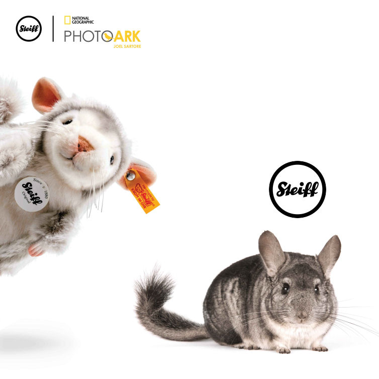 https://www.two4toys.com/images/details/070143_S2.jpg