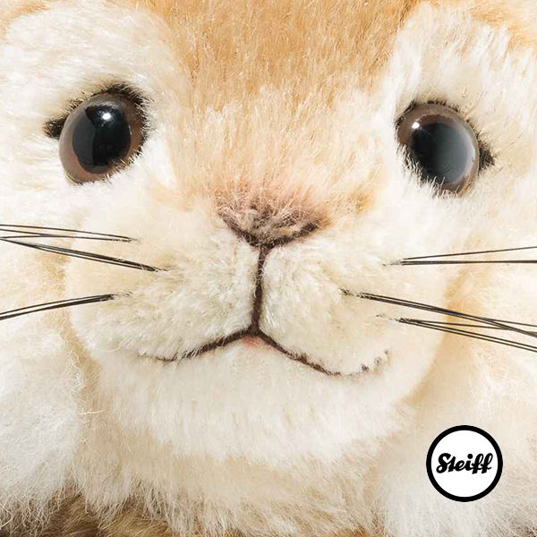 https://www.two4toys.com/images/details/355226_S2.jpg