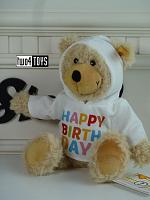 Steiff 012310 CHARLY HAPPY BIRTHDAY TEDDY MET HOODIE 2019